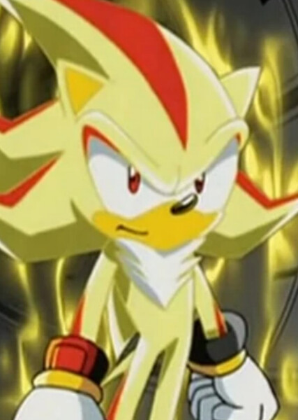 Shadow the Hedgehog (Sonic X) photo