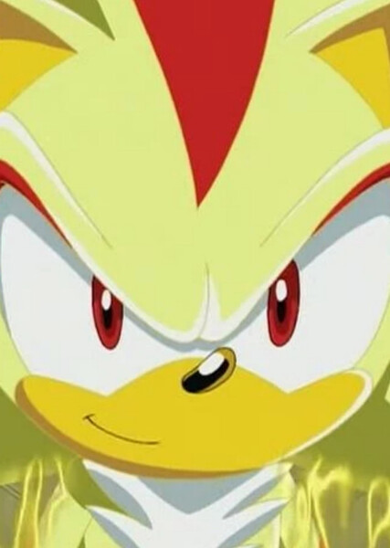 Shadow the Hedgehog (Sonic X) photo