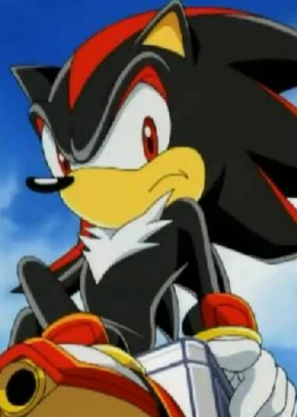 Shadow the Hedgehog (Sonic X) photo