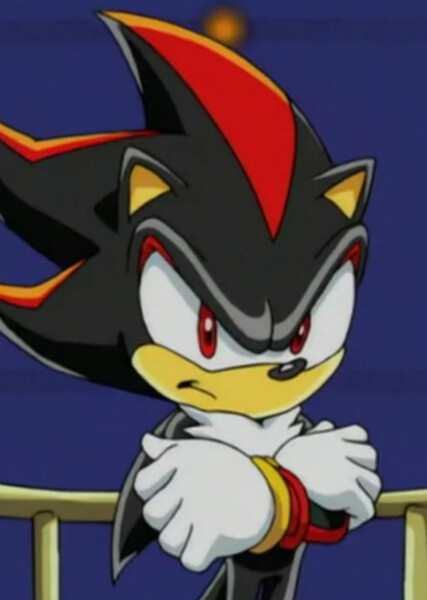Shadow the Hedgehog (Sonic X) photo
