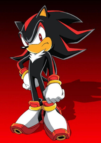Shadow the Hedgehog (Sonic X) photo