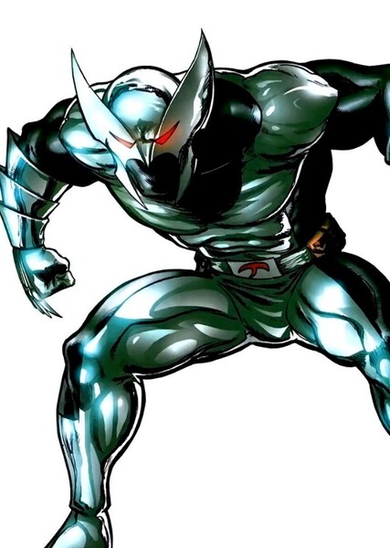 ShadowHawk photo