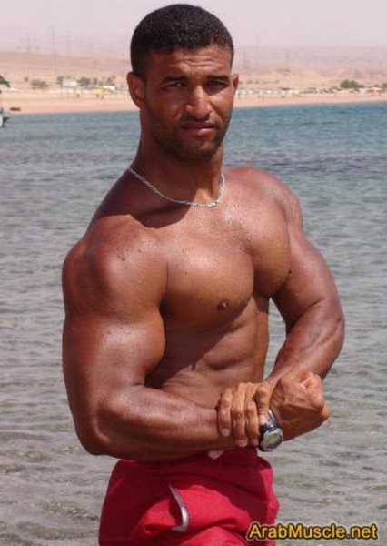 Shady Ghareeb