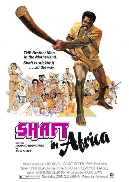 Shaft in Africa