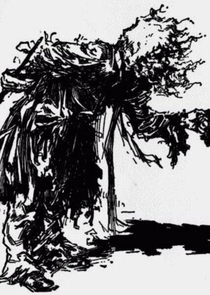 Shaggy Man photo