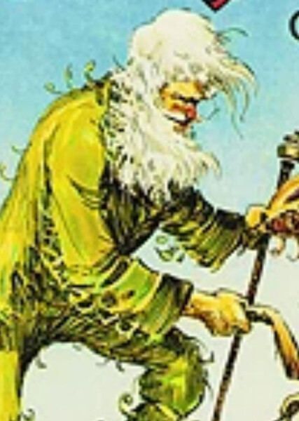Shaggy Man photo