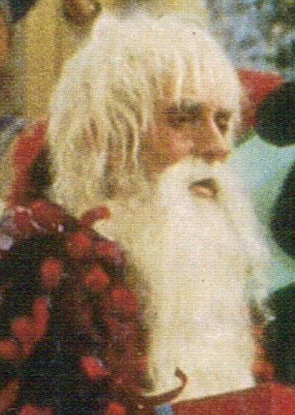 Shaggy Man photo