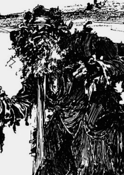 Shaggy Man photo