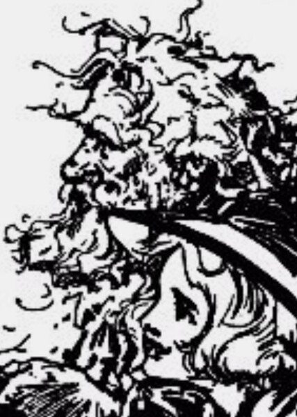 Shaggy Man photo
