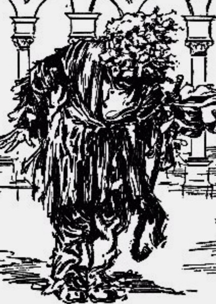 Shaggy Man photo
