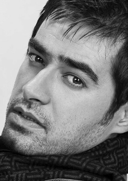 Shahab Hosseini photo