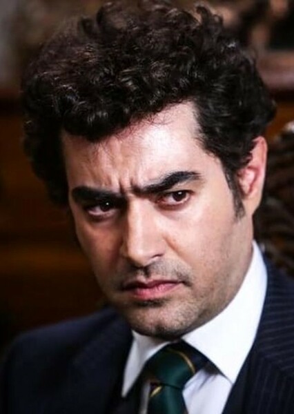Shahab Hosseini photo