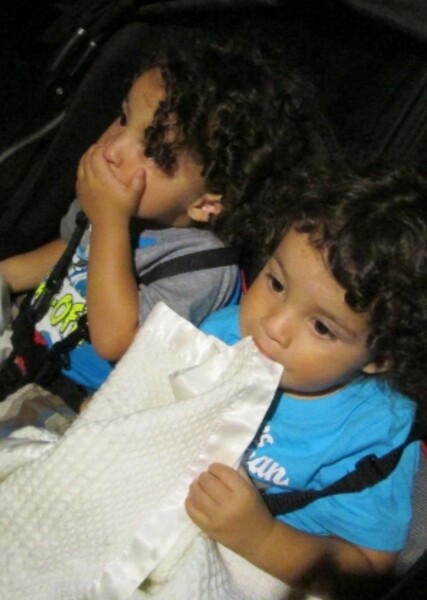 Shaimim Anoa'i photo