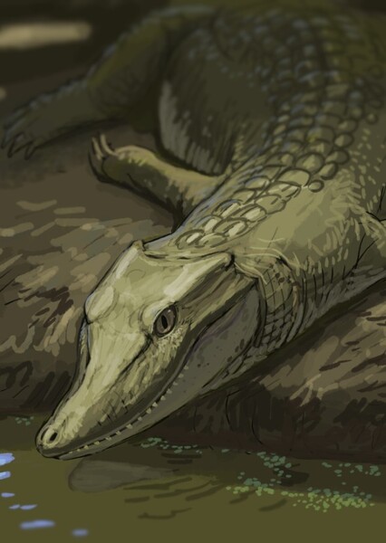 Shamosuchus photo