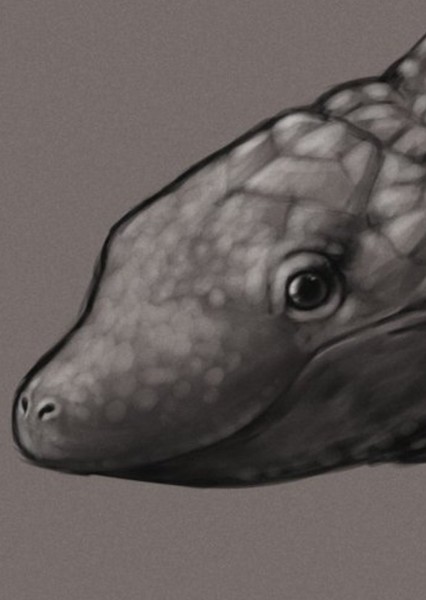 Shamosuchus photo