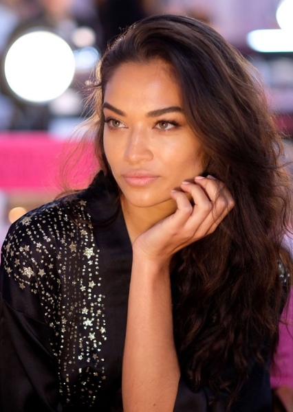 Shanina Shaik