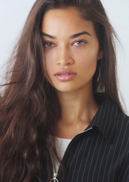 Shanina Shaik