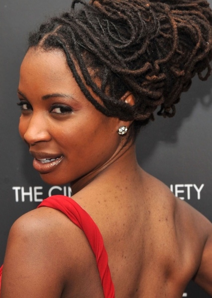 Shanola Hampton photo