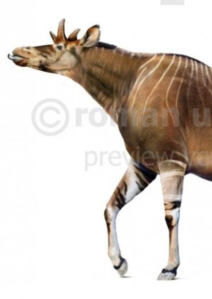 Shansitherium
