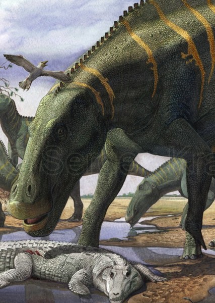 Shantungosaurus photo