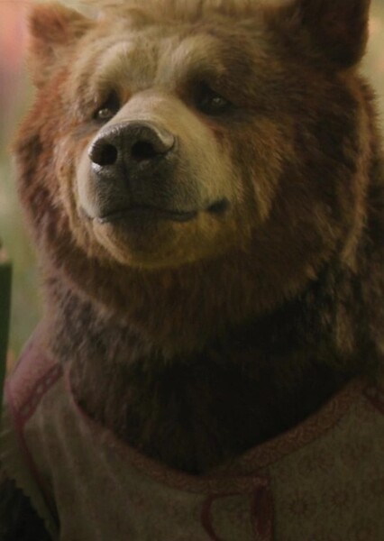 Dulcibear