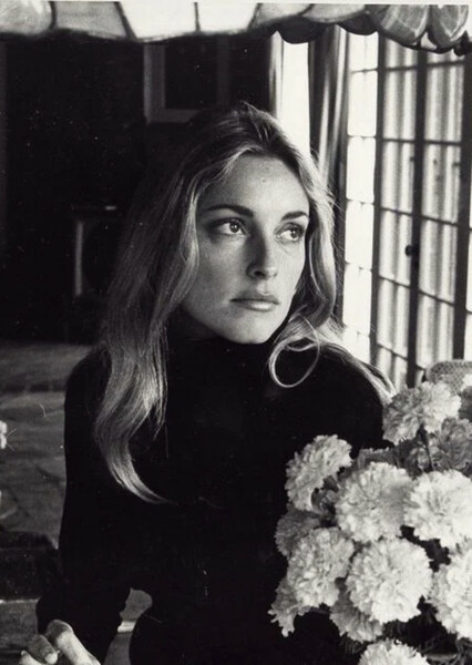 Sharon Tate photo
