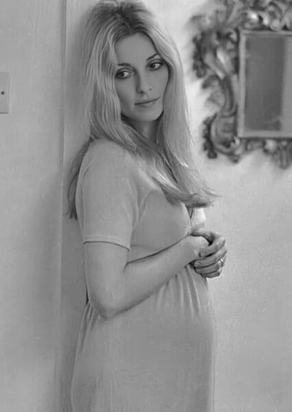 Sharon Tate photo