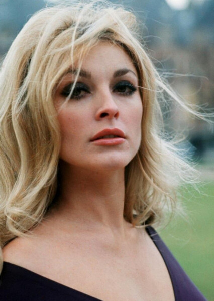 Sharon Tate photo