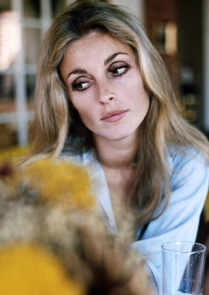 Sharon Tate photo