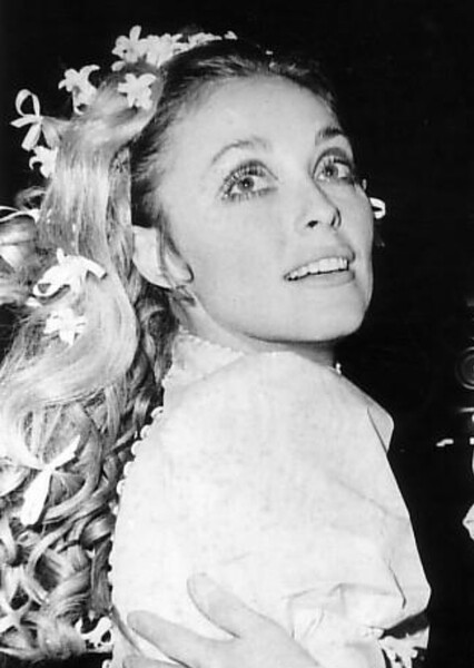 Sharon Tate photo