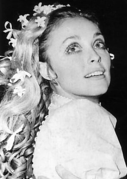 Sharon Tate photo
