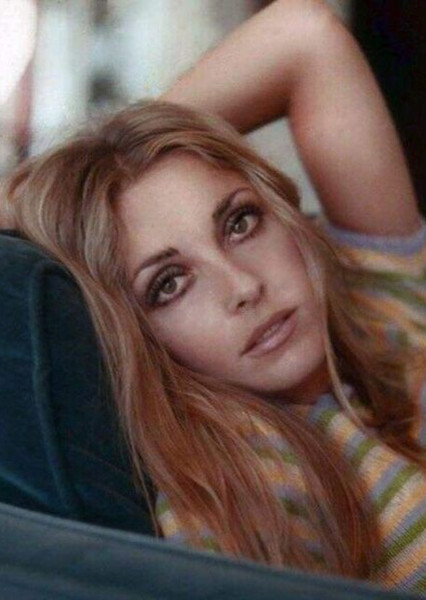 Sharon Tate photo
