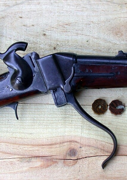 Sharps rifle