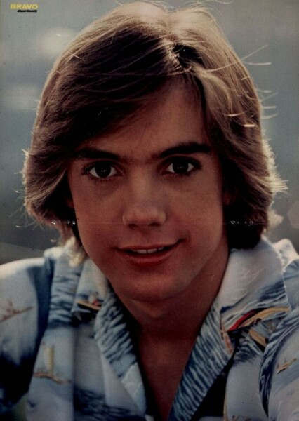 Shaun Cassidy photo