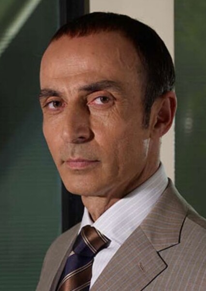 Shaun Toub