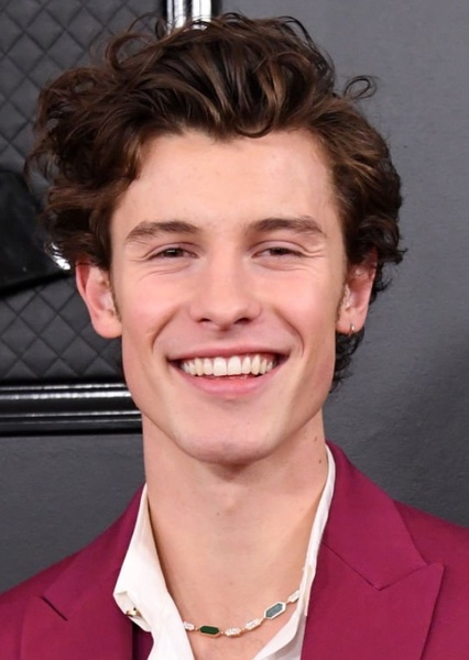 Shawn Mendes photo
