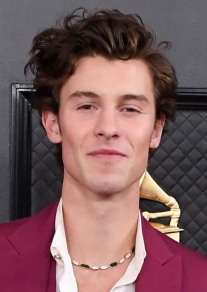 Shawn Mendes photo