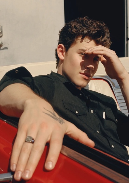 Shawn Mendes photo