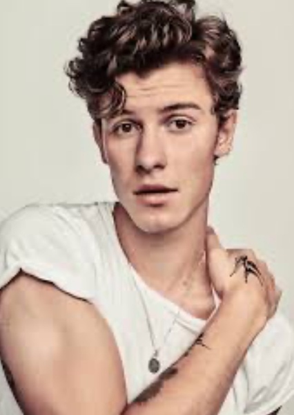 Shawn Mendes photo