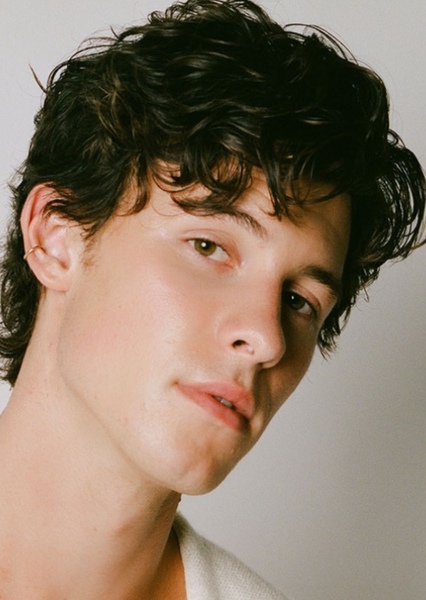 Shawn Mendes photo