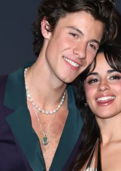 Shawn Mendes photo