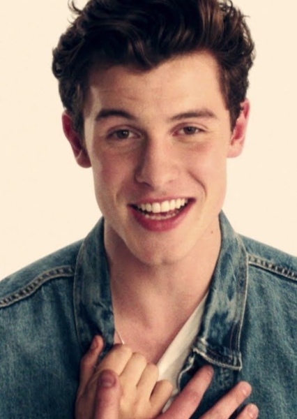 Shawn Mendes photo