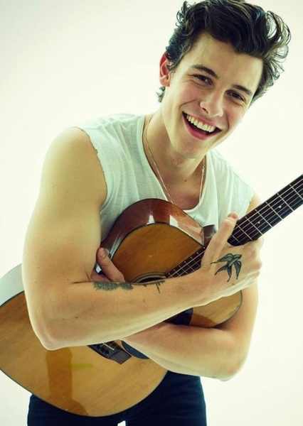 Shawn Mendes photo