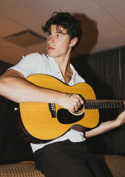 Shawn Mendes photo