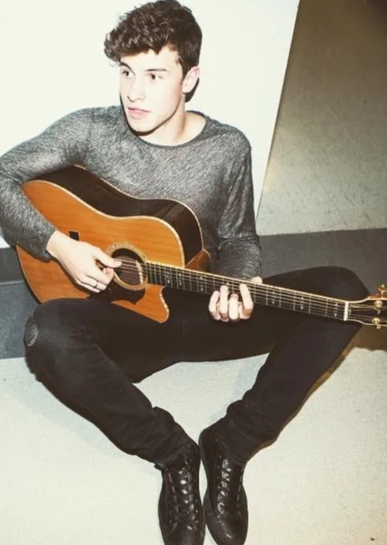 Shawn Mendes photo