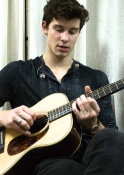 Shawn Mendes photo