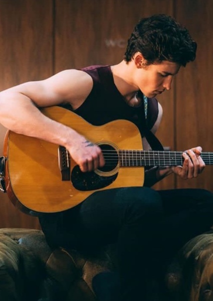 Shawn Mendes photo