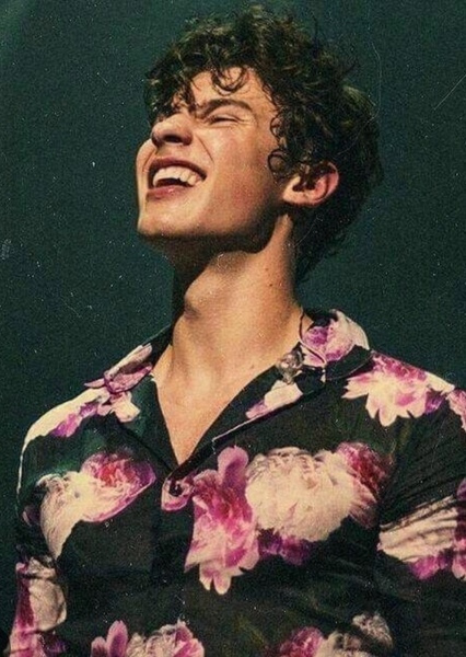 Shawn Mendes photo