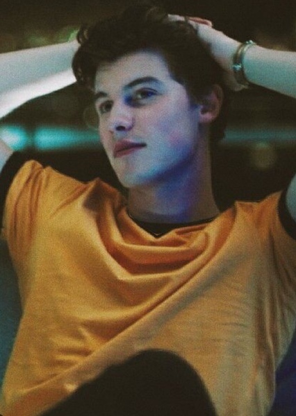 Shawn Mendes photo