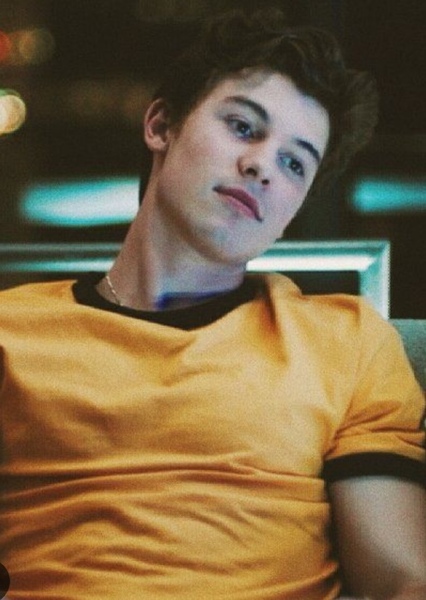 Shawn Mendes photo